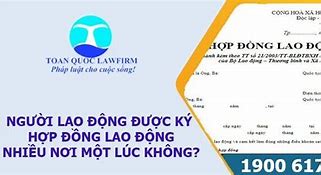 Có Được Ký 2 Hợp Đồng Lao Động Không