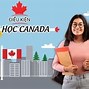 Du Học Nghề Canada 2022 Tại Mỹ Không Được Cấp Visa Gì