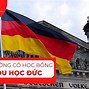 Học Bổng Đức 2022 Là Gì Tại Sao Lại Học Đại Học