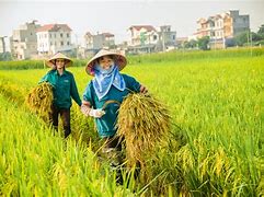 Ngành Nghề Nông Nghiệp