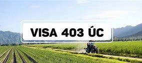 Visa 403 Của Úc